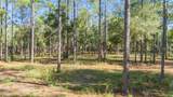 24250 Deep Springs Loop - Photo 6