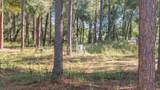 24250 Deep Springs Loop - Photo 7