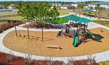 2447 Gold Dust Drive - Photo 29