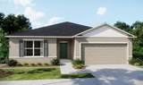 31563 Wild Grape Lane - Photo 1
