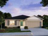 31563 Wild Grape Lane - Photo 2