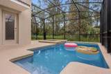 8802 Bamboo Palm Court - Photo 41