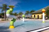 8802 Bamboo Palm Court - Photo 52
