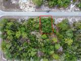 1305 Homosassa Court - Photo 4