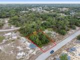 1315 Homosassa Court - Photo 4