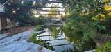 20733 Melville Street - Photo 26