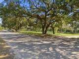 2011 Mulberry Drive - Photo 14