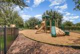 8234 Gray Kingbird Dr - Photo 55