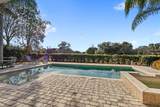 25515 Hawks Run Lane - Photo 49