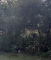 00 Dill Road - Photo 1