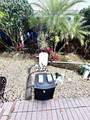 2457 St George Drive - Photo 42