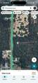 6110 County Road 17 - Photo 4