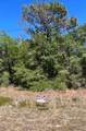 12405 Goldie Point - Photo 4