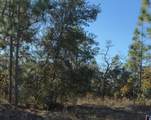 6783 Pavilion Loop - Photo 4