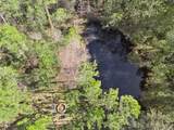 3441 Hickory Creek Road - Photo 51