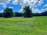 18340 Great Blue Heron Drive - Photo 5