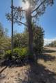 923 Gaillardia Drive - Photo 3