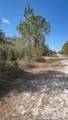 923 Gaillardia Drive - Photo 4