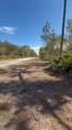 923 Gaillardia Drive - Photo 5