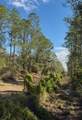 923 Gaillardia Drive - Photo 6