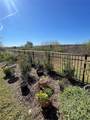 1848 Terrapin Road - Photo 51