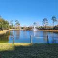 14501 Grove Resort Avenue - Photo 50