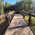 14501 Grove Resort Avenue - Photo 52