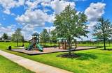 340 Pheasant Drive - Photo 19