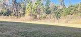 667 Bay Leaf Drive - Photo 13