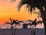 1000 Cove Cay Drive - Photo 44