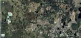 Tuscanooga Road - Photo 2