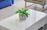 8117 Princess Palm - Photo 15
