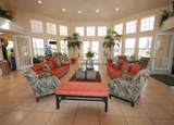 8117 Princess Palm - Photo 33