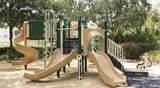 8117 Princess Palm - Photo 46