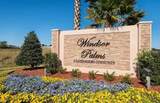 8117 Princess Palm - Photo 50