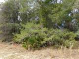 1680 Catalina Blvd - Photo 4