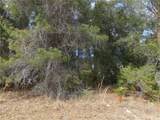 1680 Catalina Blvd - Photo 5