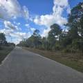 2603 13TH Street - Photo 5
