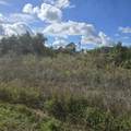 2804 11TH Street - Photo 5