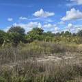2804 11TH Street - Photo 9