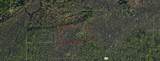  Holopaw Groves Road - Photo 3