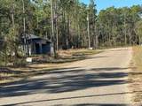 9367 Fairy Lilly Drive - Photo 1
