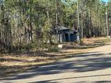 9367 Fairy Lilly Drive - Photo 3