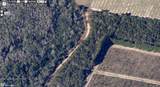  S Boggy Marsh Road - Photo 4
