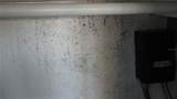 2345 Starlite Lane - Photo 13
