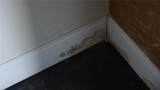 2345 Starlite Lane - Photo 15