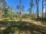 2648 Park Avenue - Photo 2