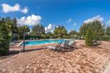 15403 Murcott Harvest Loop - Photo 31