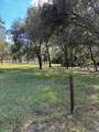 23404 Hobdy Road - Photo 35