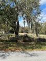 1700 Orange Lane - Photo 5